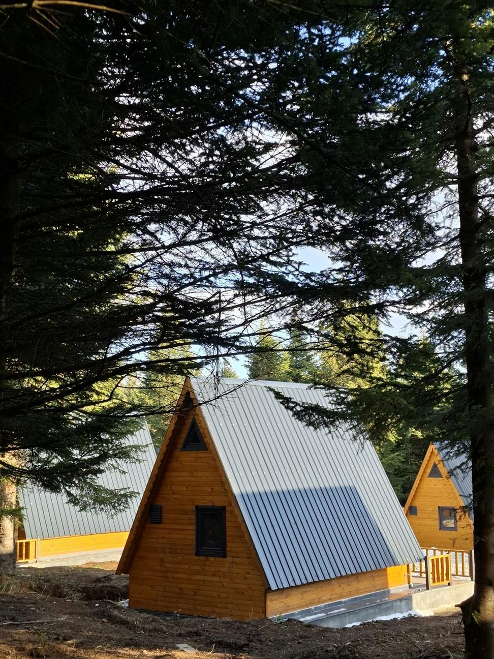 Whistler Weekend Retreat